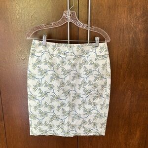 Ann Taylor Petite Pencil Skirt